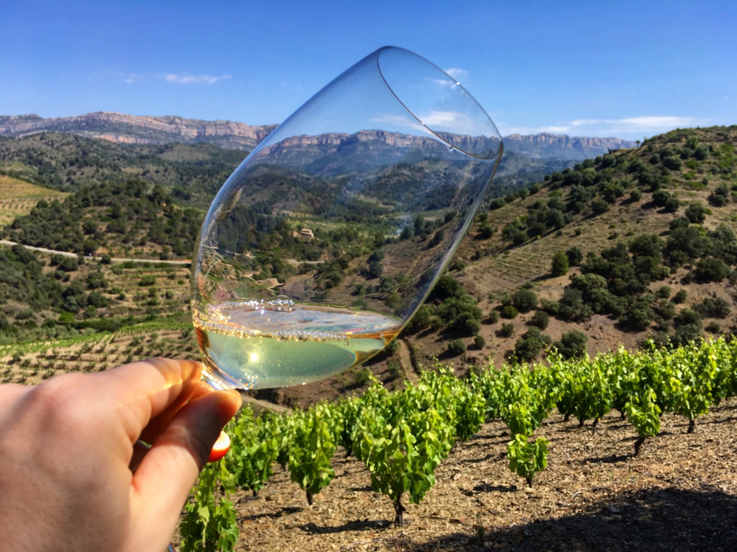 Comment Demande T On L Addition En Italien Du Priorat, hors des rouges – Chez Julien
